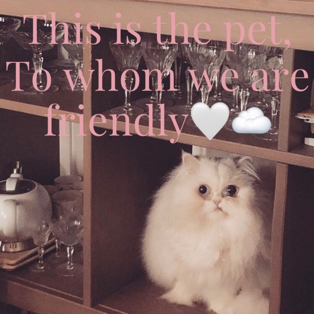 🌸
